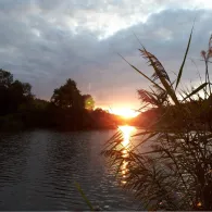 Étang de Baerenthal