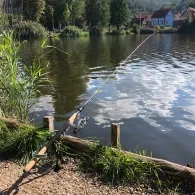 Étang de Baerenthal-4