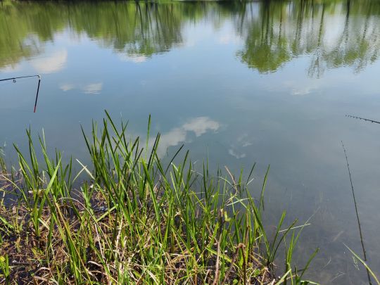 Teichanlage FV Uttershausen-1