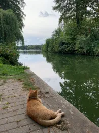 Peetzsee (Grünheide)-3