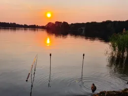 Peetzsee (Grünheide)-2