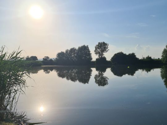 Schönfelder See (Artern/Unstrut)-1