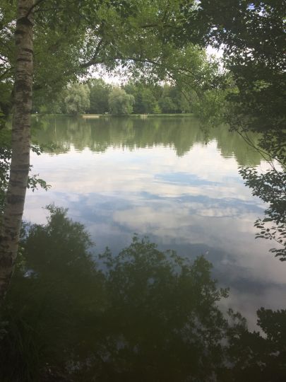 Taxetweiher