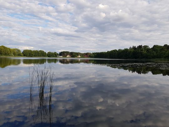 Vordersee (Dobbrikow)-2