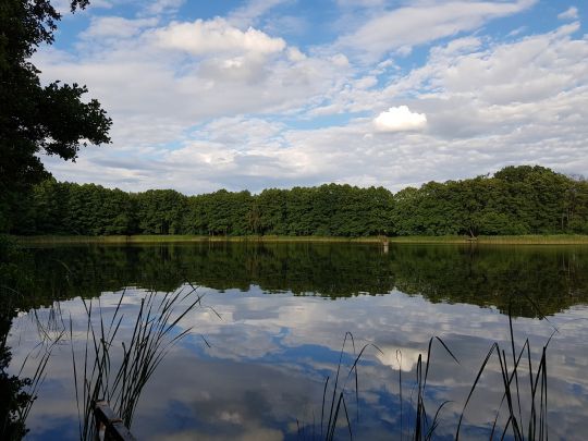 Vordersee (Dobbrikow)-4