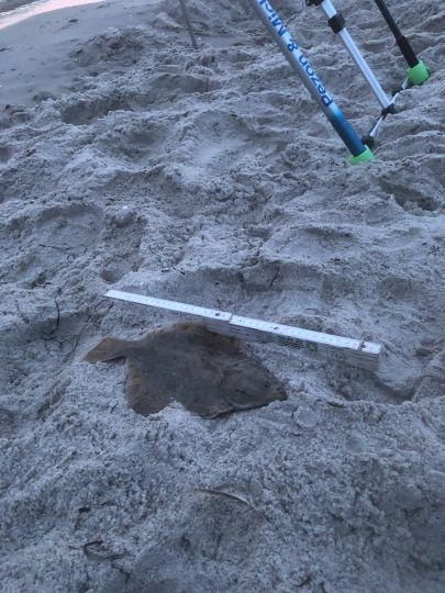 Ostsee (Ahrenshoop)-1