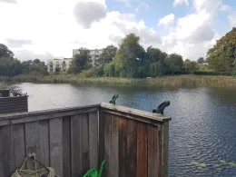 Krebssee (Gülzow-Prüzen)