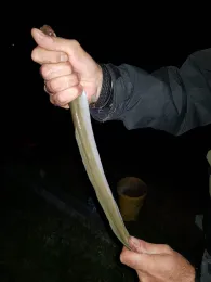 Mittellandkanal (Wolmirstedt)-3