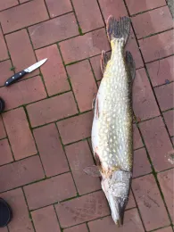 Mittellandkanal (Wolmirstedt)-2