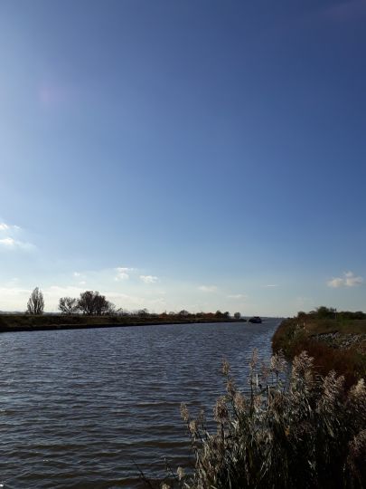 Mittellandkanal (Wolmirstedt)-4