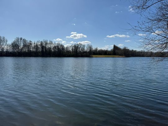 Surfteich (Fischbeck)-2