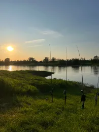 Elbe (Coswig/Anhalt)-4