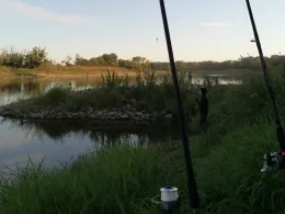 Elbe (Coswig/Anhalt)-3