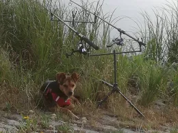 Elbe (Coswig/Anhalt)-1