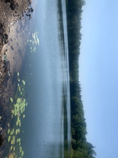 Weinbergersee (Duingen)-3