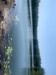 Weinbergersee (Duingen)-3