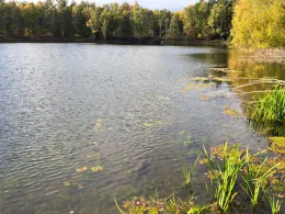 Weinbergersee (Duingen)-2