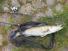 Elbe (Wootz / Gorleben)