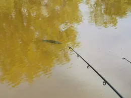 Pechtelsgrüner Weiher-1