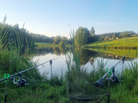 Pechtelsgrüner Weiher-4