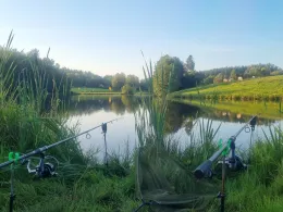 Pechtelsgrüner Weiher-4