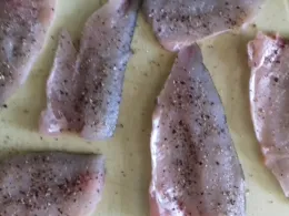 Mühlbach (Oranienbaum-Wörlitz)-1