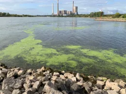 Emscher (Dinslaken)-1