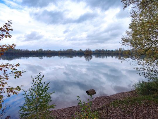 Möwensee (Nordhausen)-2