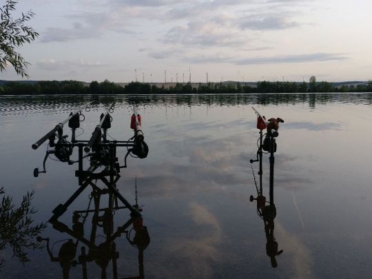 Möwensee (Nordhausen) angeln