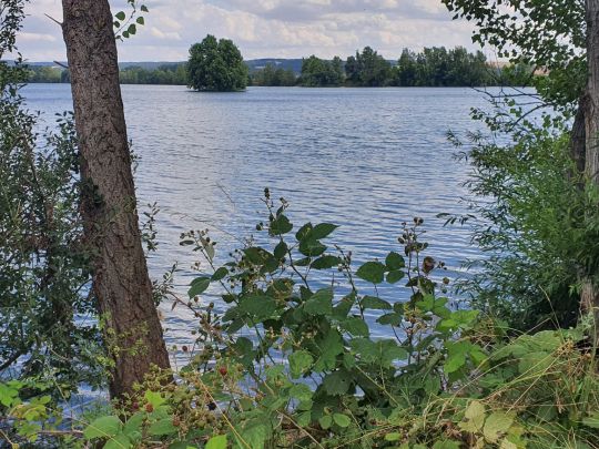 Möwensee (Nordhausen) angeln