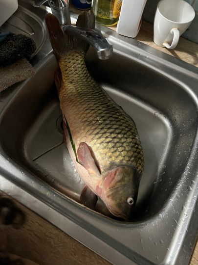 Kasseteiche (Muxall)-1