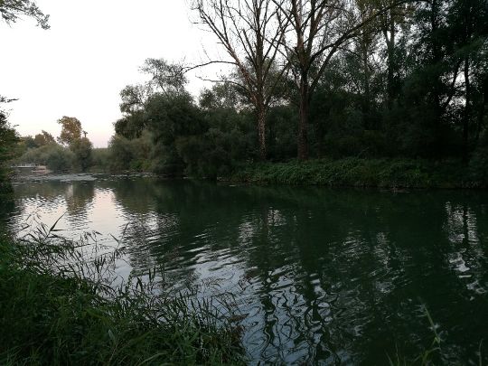 Isararm Plattling