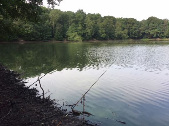 Heidornsee
