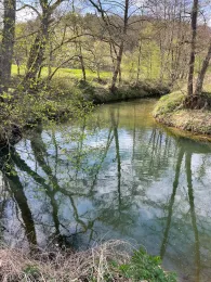 Schwarzbach (Eschelbronn)-1