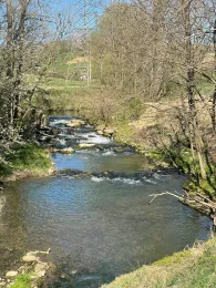 Schwarzbach (Eschelbronn)