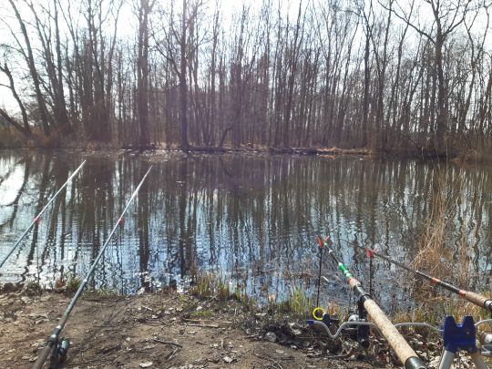 Försterteich (Benndorf)