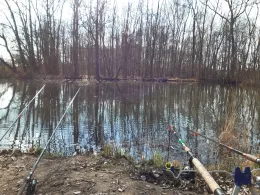 Försterteich (Benndorf)