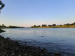 Maas (Reuver)-3