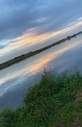 Maas (Reuver)