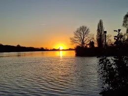 Maas (Reuver)-4