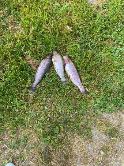 Tinas Forellensee (Ratekau)-1