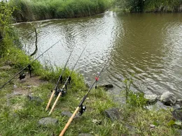 Krautsander Binnenelbe (Drochtersen)