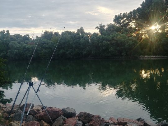 Nackenheimer Mühlarm-2