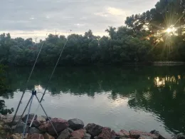 Nackenheimer Mühlarm-2