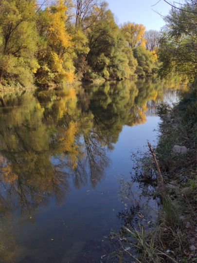 Nackenheimer Mühlarm-3