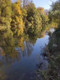 Nackenheimer Mühlarm-3