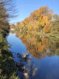 Nackenheimer Mühlarm-4