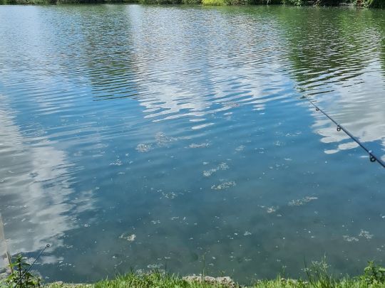 Altöttinger Weiher (Landsberg)-4