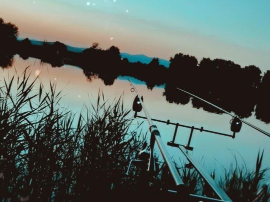 Schlottweiher (Hengersberg)-3