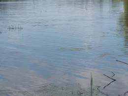 Kiesgrube Rogätz 2-1